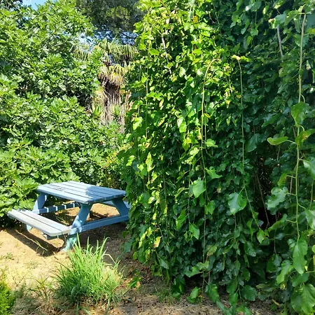 Appartement A Teppa Luri